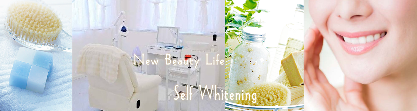 ヘッダーイメージ